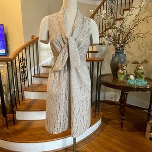 Hunter Dixon Light Mauve and Silver Metallic  Formal Dress